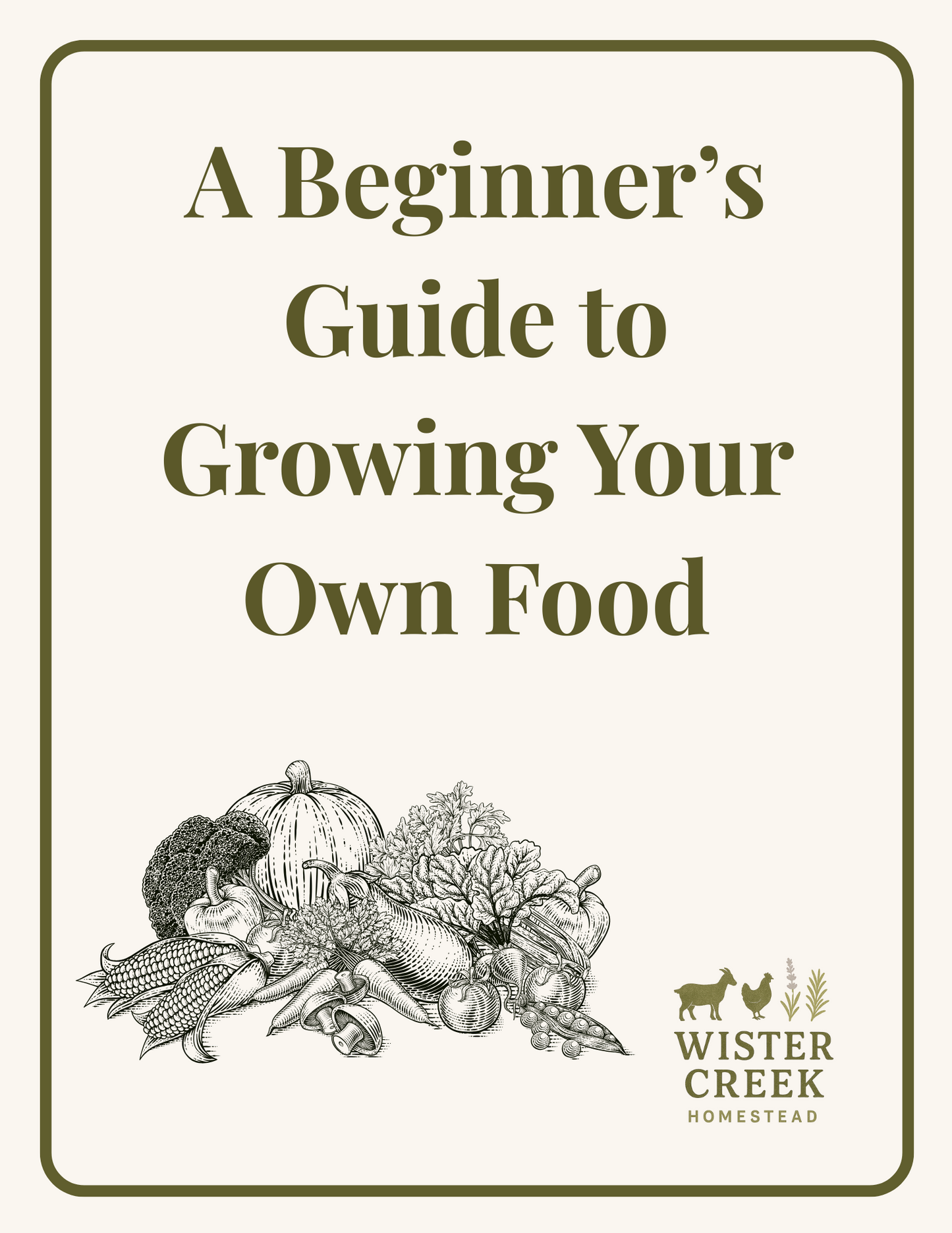A Beginner's Guide to Growing Own Food