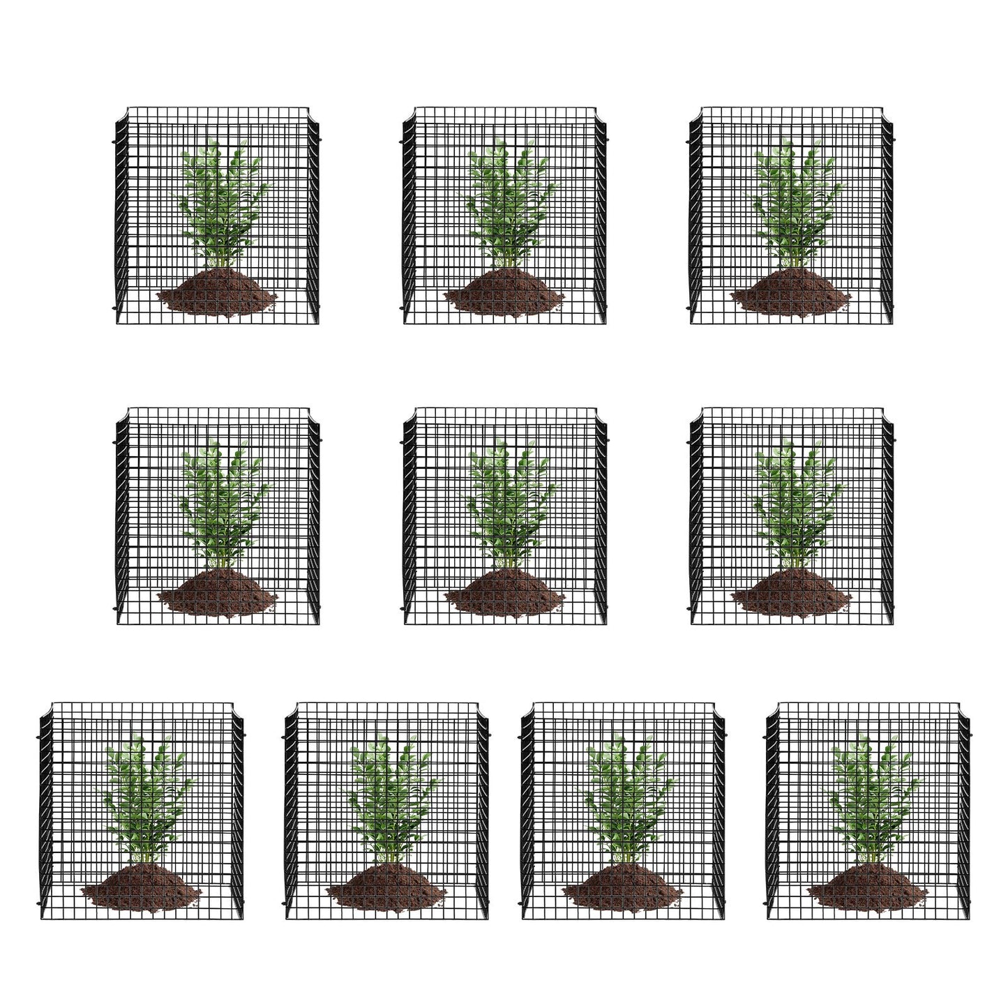 10 Pack Plant Protector From Animals Plant Cage For Vegetables