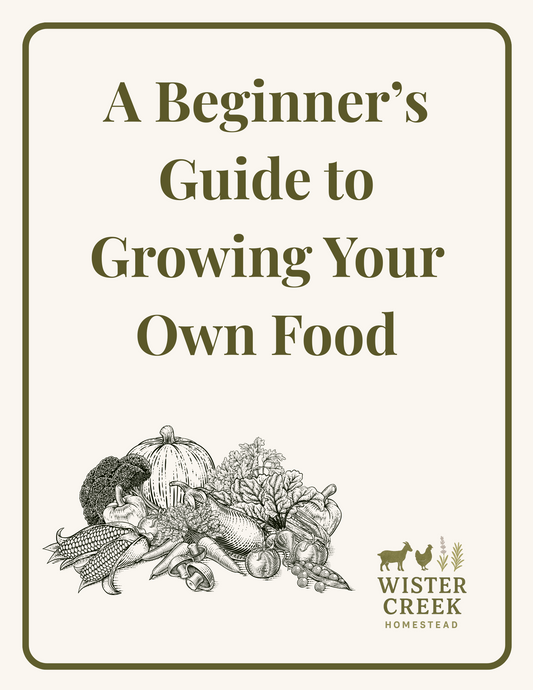 A Beginner's Guide to Growing Own Food