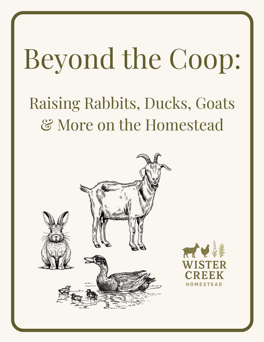 Beyond the Coop: Raising Rabbits, Ducks, Goats and more on the Homestead