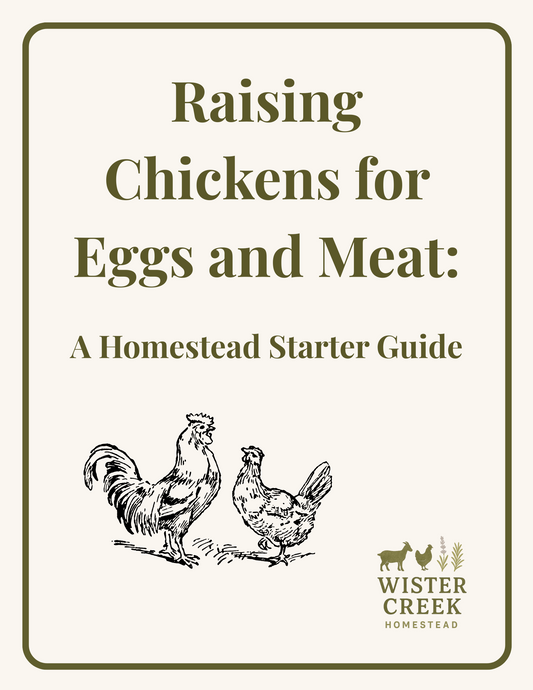Raising Chickens for Eggs & Meat:  A Homestead Starter Guide