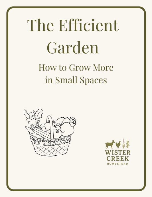 The Efficient Garden: How to Grow More in Small Spaces